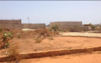 Litige foncier à Louga: Des commentaires font état d'éventuels retraits de parcelles déjà attribuées