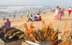 En images -  Yoff Plage ce week-end: "Chère" Covid -19, qui es-tu ? Nous, on vit !!!!