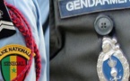 Ouest-Foire/ Arrestation de « trafiquants » de drogue: Policiers et gendarmes se crêpent le chignon