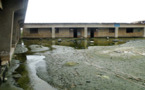 La rentrée scolaire dans les eaux.