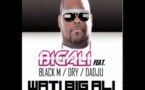 Big Ali  feat Wati B: "sexion d'assaut"