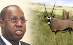 Affaire des « gazelles d’Abdou Karim Sall »: Les journalistes convoqués à la DIC, libérés