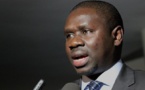Me Oumar Youm: « Si Abdou Karim Sall avait une mauvaise intention, les agents n’allaient pas lui accorder l’autorisation de  transporter les gazelles »