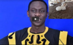 Vidéo:  Pape Diouf offre des moutons à ses musiciens pour la fête de Tabaski, regardez !