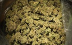 Trafic de drogue: la gendarmerie de Joal saisit 84 kg de chanvre indien