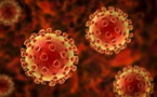 Evolution du Coronavirus aux Etats-Unis : 679 morts et 57000 nouveaux cas enregistrés en 24 heures