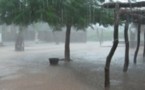 Le retour des pluies inquiète les paysans de Tamba