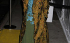 Diaporama : Tapis rouge des CFDA /Vogue Fashion Fund Awards 2012