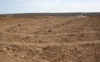 Litige foncier au Sénégal/ Actionaide : « Plus de 800.000 ha de terres feraient objet d’accaparement»