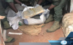 Sédhiou: 84 kg de cannabis saisis à la berge du fleuve de Karantaba