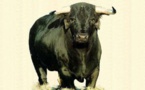 Drame Linguère : un éleveur écorné mortellement par sa vache qu’il tentait de sortir d’un marigot