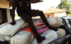 LUTTE CONTRE LE TRAFIC INTERNATIONAL DE STUPEFIANTS: 456 kg de chanvre indien saisis en 24h par la subdivision des Douanes de Fatick