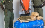 Douane: 108 kg de chanvre indien saisis au Centre et au Sud du pays