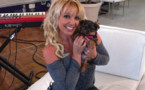 Britney Spears : sa chienne a un compte twitter