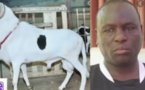 Révélations sur l’enquête de la gendarmerie: «Boy Kairé » a été braqué par ses…voisins