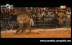 "Bantamba" du mardi 27 Novembre 2012