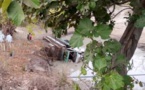 Sédhiou: Une enfant de 15 mois chute mortellement dans...