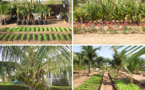 Gestion durable des terres : Keur Samba Dia sollicite l’appui des partenaires