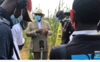 VIDEO - Déclaration de Macky Sall à Niakhar ( Tournée agricole )
