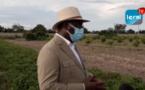 VIDEO / Dans son propre périmètre agricole: Macky Sall invite à developper une agriculture moderne