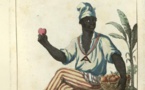 Bakel: Une bataille rangée opposant « Diam » (esclaves) et « Gér » (nobles), atterrit au tribunal