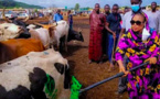 MAGAL 2020: SOKHNA AÏDA SALIOU de retour au Sénégal après un voyage au Mali (Vidéo)