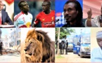 VIDEO - Magal Aïda Diallo; Projet Médina Baye; Meurtre de Bouya Diao; O. Sonko vs M. Faye, Terme sud; Alerte au lion...