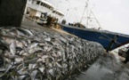 Alerte de Greenpeace: La pêche artisanale verrouillée par la COVID-19, les multinationales de la pêche pillent les océans de l'Afrique de l'Ouest