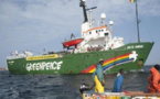 Affaire pillage maritime: Greenpeace Afrique réplique au ministère des Pêches