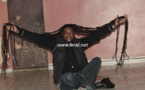 Les plus longs rastas du Pays ?