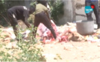 VIDEO / Gamou à Mermoz: Les Thiantacounes en pleins préparatifs