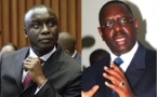 « Il n’y a aucun problème entre Idy et Macky Sall » Ibrahima Lô