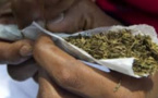 Rond-Point Liberté 6: Sept individus surpris en train de griller des joints