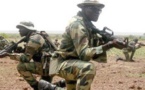 Le Sénégal prépare l'envoi de 500 soldats au Mali (ministre)