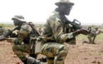 Le Sénégal prépare l'envoi de 500 soldats au Mali (ministre)