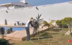 Coumba Gawlo Seck: Une éternelle âme d'enfant, avec sa fille Perle (Vidéo)