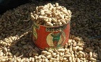 Kaolack : les producteurs d'arachide demandent la suppression de la subvention des semences