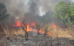 Environnement: 17 feux de brousse, plus de 5000 ha du tapis herbacé ravagés