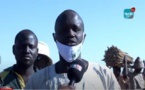 Au cœur des champs de Cheikh Mbacké Saliou à Ndiéné Lagane : La foi et la passion comme leitmotiv