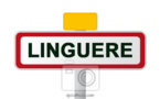 Linguère : Arrestation d’une bande de malfaiteurs composés d’ex militaires