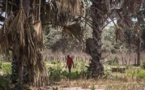 Ndiadiou: 3 jeunes portés disparus, le village en pleine psychose