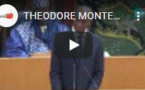 Cri du cœur de l'honorable député Théodore Monteil avec l'histoire de "Modou"