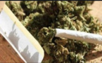 Trafic de drogue : Un artiste-musicien écope de 2 ans de prison ferme