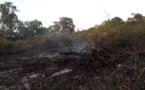 Feu de brousse : une partie de la forêt classée de Mbao bouffée par des flammes