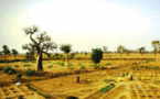 Foncier, toujours source de tension : L’affaire d’un lotissement de Kolda à la police