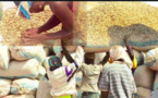 Vélingara / Campagne arachidière: Les contrôleurs économiques accusés d’arnaquer les opérateurs