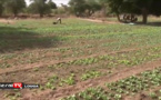 Sommation interpellative du maire Moustapha Diop: André Dione l'envoie balader et accuse...
