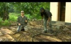 Documentaire - Serpents tueurs