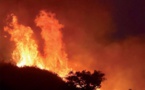 Sédhiou: le tapis herbacé dans de sales draps, 14.259 hectares brûlés en 05 ans