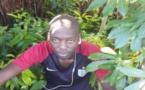 Frontière sénégalo-gambienne: Un jeune enseignant perdu de vue depuis 2 jours